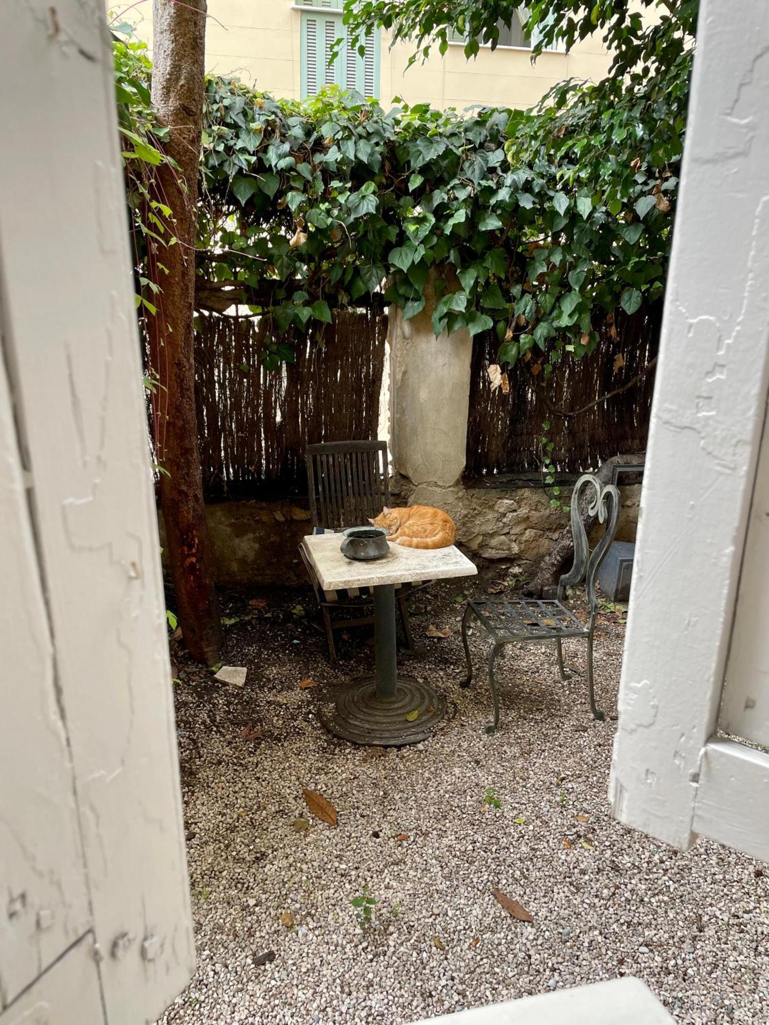 Hotel Garden 3*